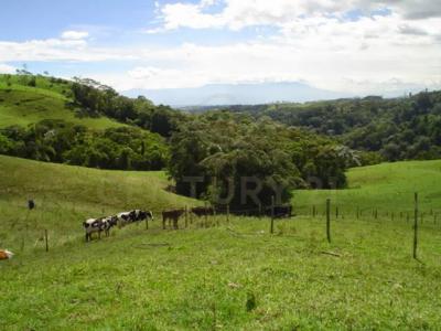 Armenia, Quindío 00001, Colombia
