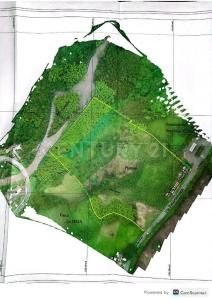 Armenia, Quindío 00001, Colombia