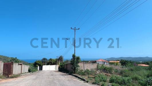 Sabana de Guacuco parcela n°13, La Asunción, Nueva Esparta 6311, Venezuela