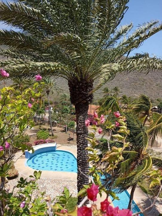 Principal Terrazas de Guarame, La Plaza De Paraguachí, Nueva Esparta 6311, Venezuela