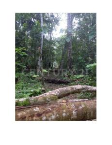 Armenia, Quindío 00001, Colombia