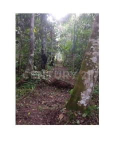 Armenia, Quindío 00001, Colombia