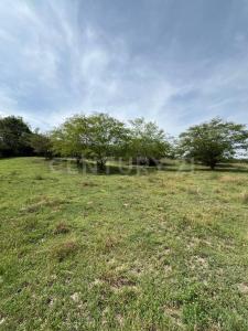 Cali, Valle Del Cauca 760032, Colombia