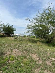 Cali, 考卡山谷 760032, 哥伦比亚