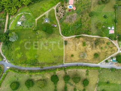 Alcala, Valle Del Cauca 00001, Colombia