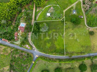 Alcala, Valle Del Cauca 00001, Colombia