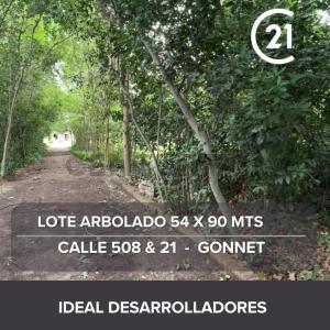 508 y 21 , La Plata, GBA Sur 00001, Argentina