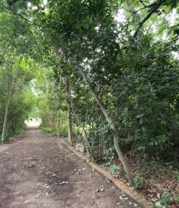 508 y 21 , La Plata, GBA Sur 00001, Argentina