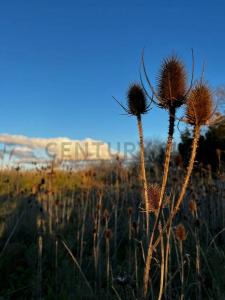 510 S/N, La Plata, GBA Sur 00001, Argentina