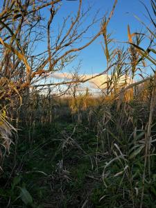 510 S/N, La Plata, GBA Sur 00001, Argentina