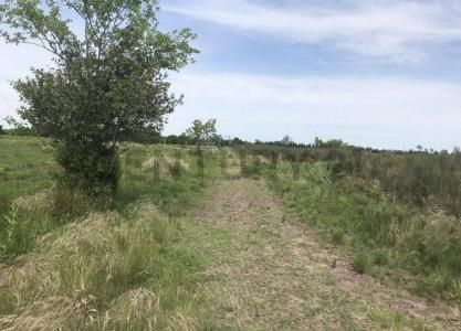 510 y 163 S/N, La Plata, GBA Sur 00001, Argentina