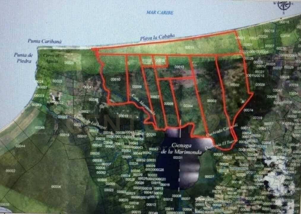 Urabá, Antioquia 057870, Colombia