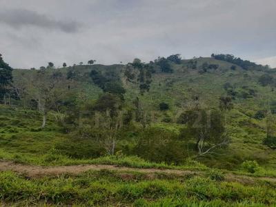 Urabá, Antioquia 05837, Colombia