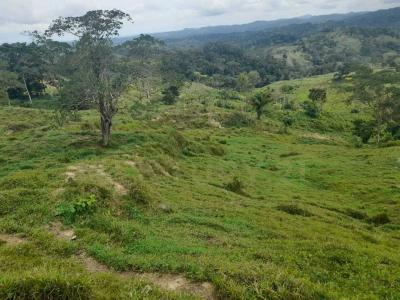 Urabá, Antioquia 05837, Colombia