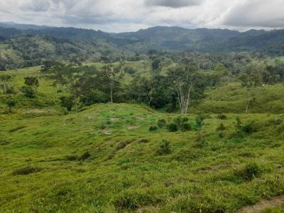 Urabá, Antioquia 05837, Colombia