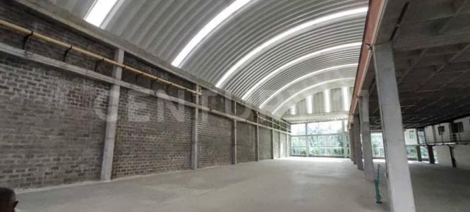 Urabá, Антиокия 057841, Колумбия