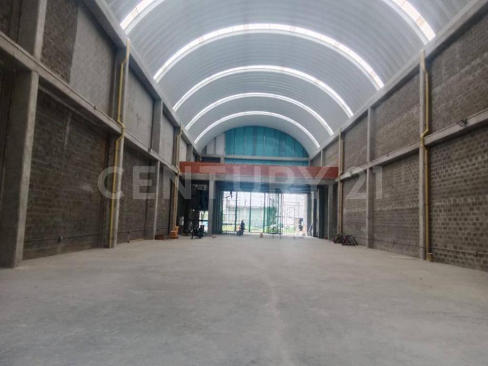 Urabá, Antioquia 057841, Colombia