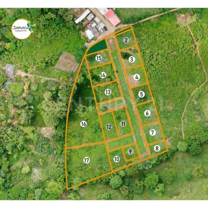 Urabá, Antioquia 00001, Colombia