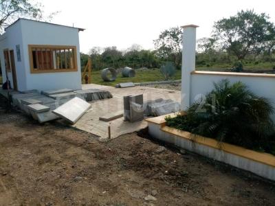 Urabá, Antioquia 00001, Colombia