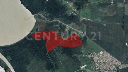 Urabá, Antioquia 05837, Colombia