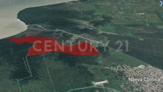 Urabá, Antioquia 05837, Colombia