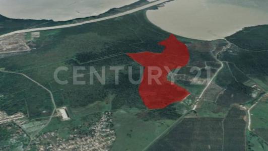 Urabá, Antioquia 05837, Colombia