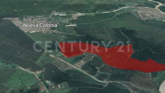 Urabá, Antioquia 05837, Colombia