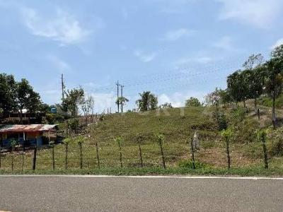 Urabá, Antioquia 057860, Colombia