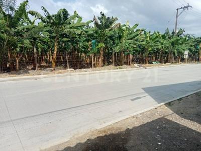 Urabá, Antioquia 057840, Colombia