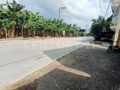 Urabá, Antioquia 057840, Colombia