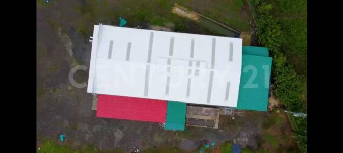 Urabá, Antioquia 057850, Colombia