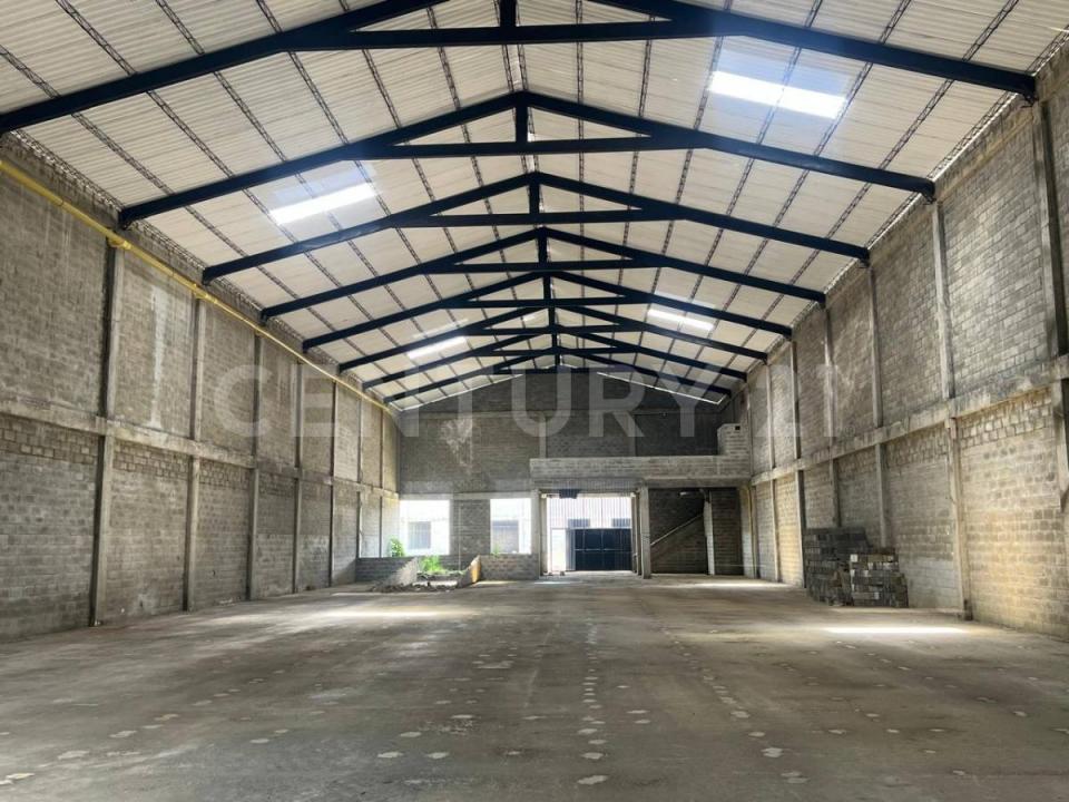 Urabá, アンティオキア 057410, コロンビア