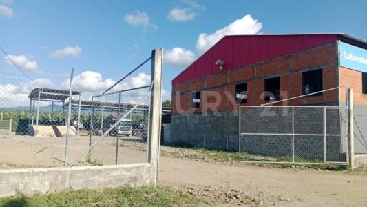 Urabá, Antioquia 057868, Colombia