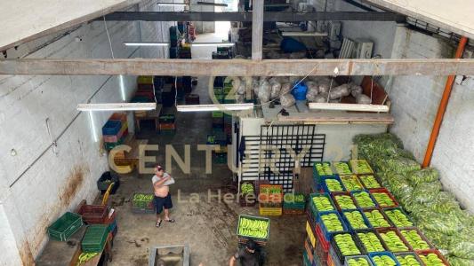 Medellín, Antioquia 00001, Colombia