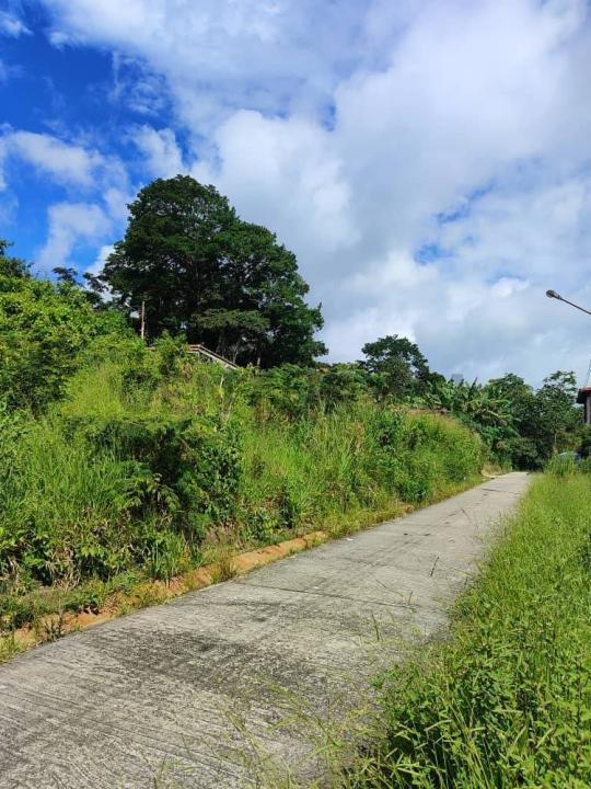 Aldea agua vía la tinta 5, San Cristóbal, Táchira 5001, ונצואלה