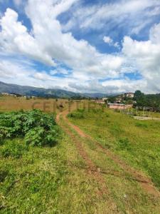 Lomas blancas 6, Cordero, Táchira 5001, Venzuela