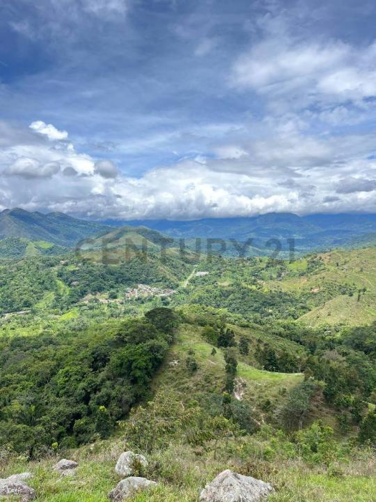 Principal N/A, San Cristóbal, Táchira 5001, Venzuela