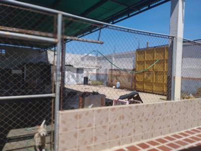 Cumaná, 수크레 00001, 베네수엘라