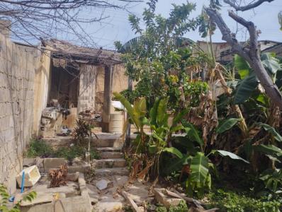 Cumaná, Sucre 00001, Venezuela