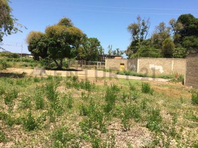 Avenida Cancamure s/n, Cumaná, Sucre 6101, Venezuela