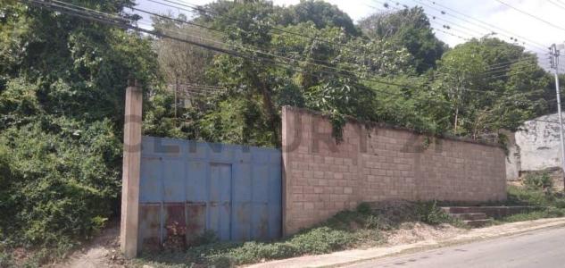 La Asunción, Nueva Esparta 00001, Venezuela