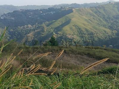 principal principal, San Antonio De Los Altos, Miranda 1204, Venezuela