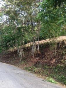 La Morita Terreno, San Antonio De Los Altos, Miranda 1204, Venezuela