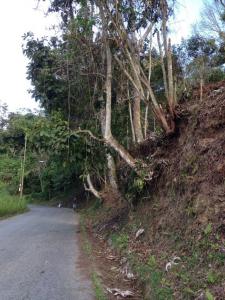 La Morita Terreno, San Antonio De Los Altos, Miranda 1204, Venezuela