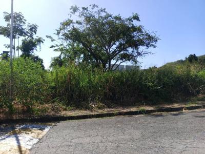 Prebo III , Valencia, Carabobo 2001, Venezuela