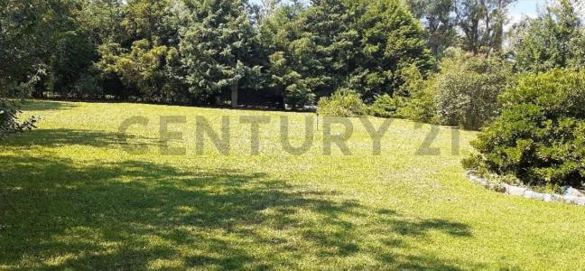 Alondras S/N, Brandsen, GBA Sur 1900, Argentina