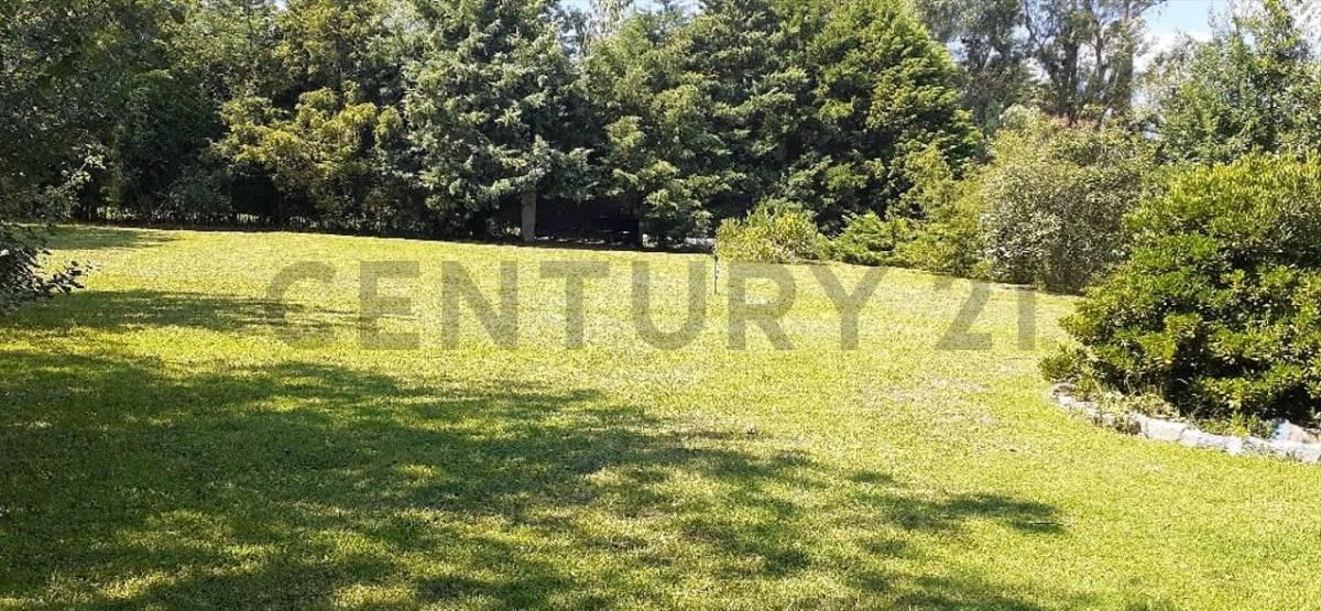 Alondras , Brandsen, GBA Sur 1900, ארגנטינה