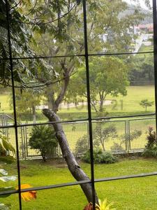 1 Guataparo Country Club, Valencia, Carabobo 2001, Venezuela