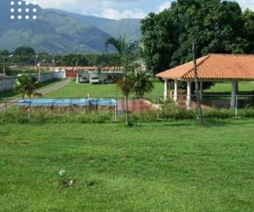 1 1, San Diego, Carabobo 2006, Venezuela