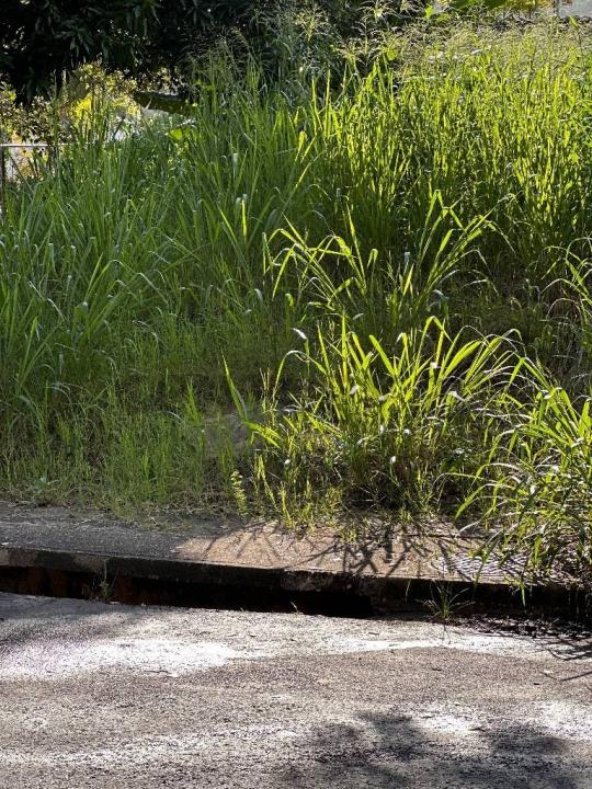 1 El Parral, Valencia, Carabobo 2001, Venezuela